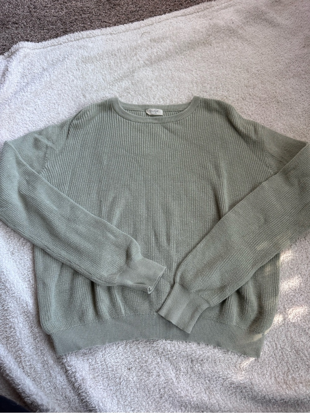Brandy Melville Sage Green Crewneck Sweater